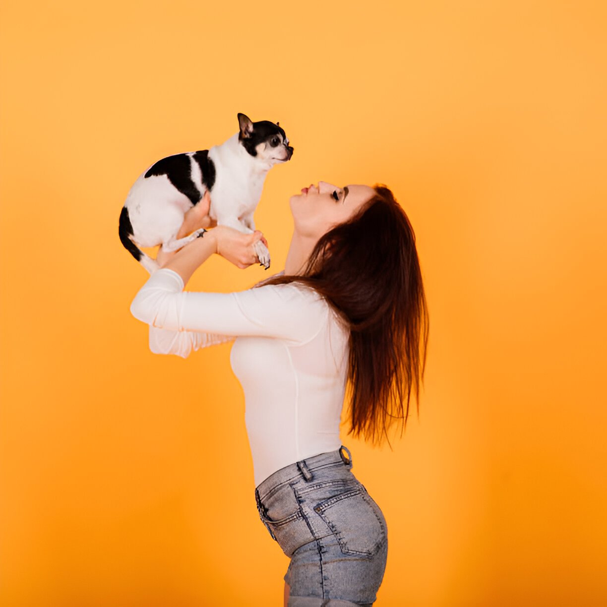 Paws in Europe (Pets)